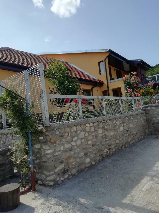 Casa Darius Apartment Orsova Ngoại thất bức ảnh